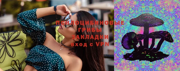бошки Горнозаводск