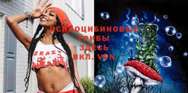 молекула духа Горно-Алтайск