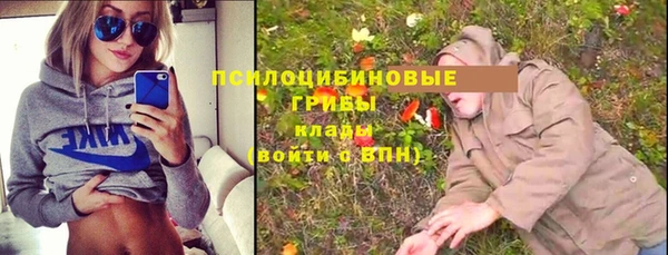 молекула духа Горно-Алтайск