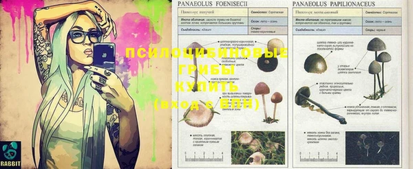 mix Горняк