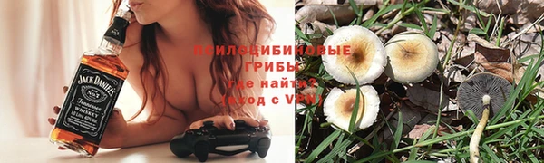 mix Горняк