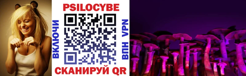 Псилоцибиновые грибы Psilocybine cubensis  Купить закладки  Луховицы 